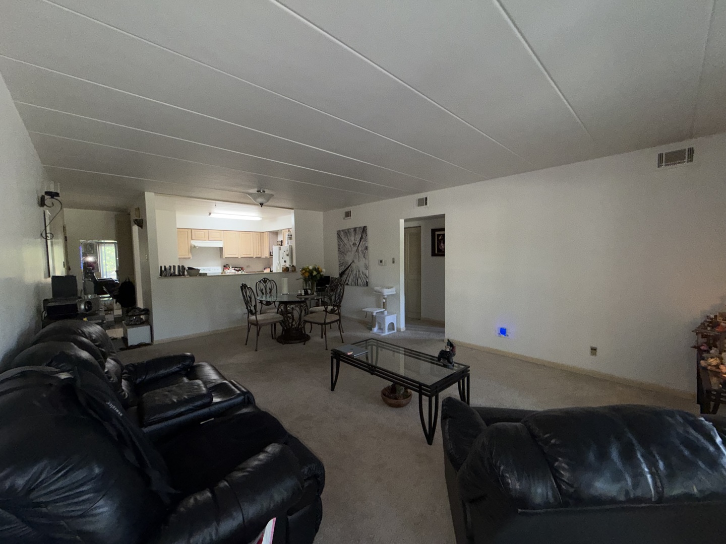 10002 S Pulaski Road 207 Property Photo 10
