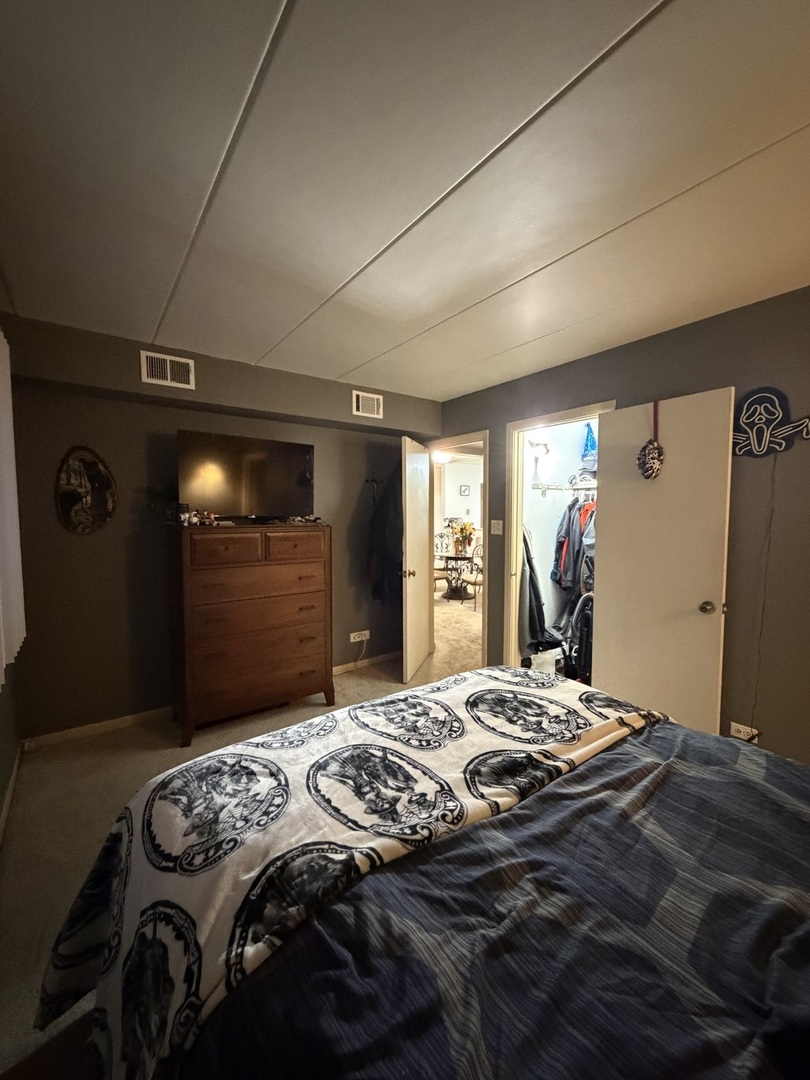 10002 S Pulaski Road 207 Property Photo 14