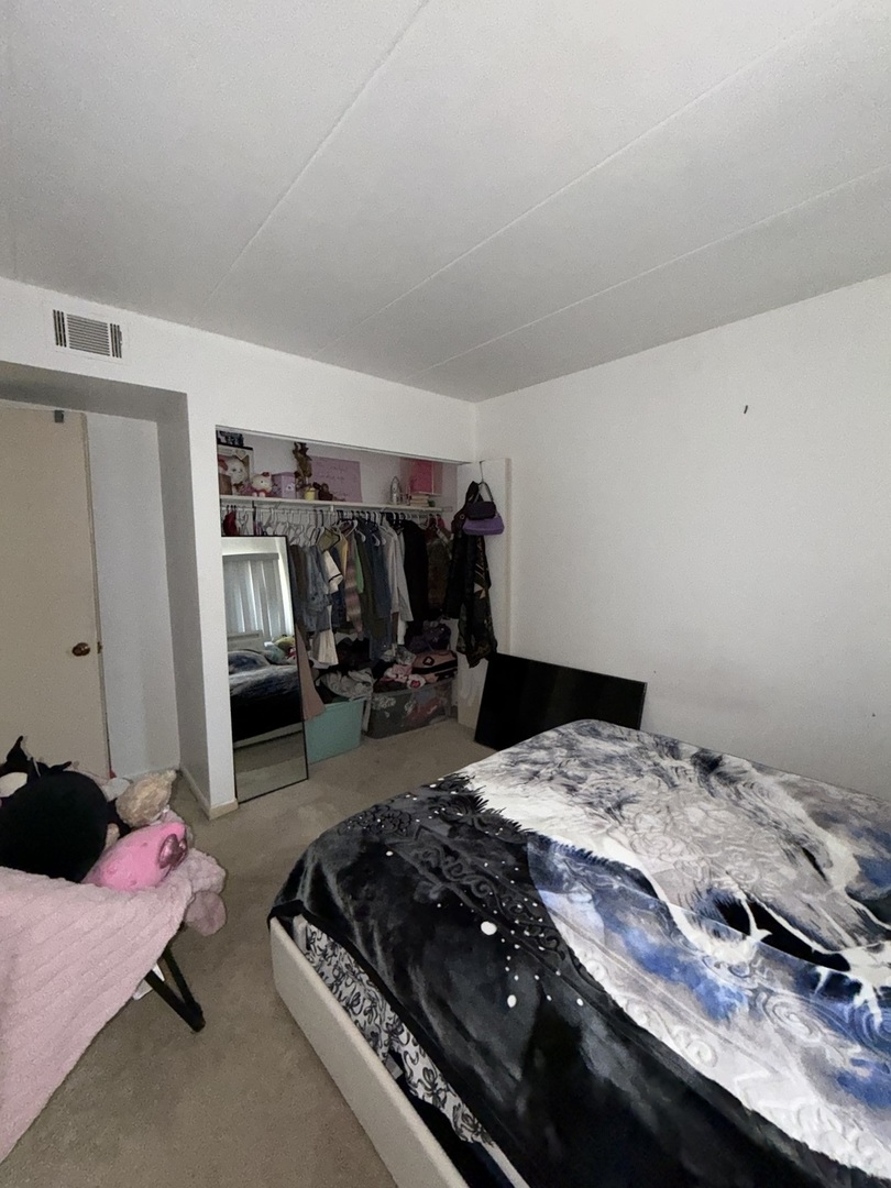 10002 S Pulaski Road 207 Property Photo 26