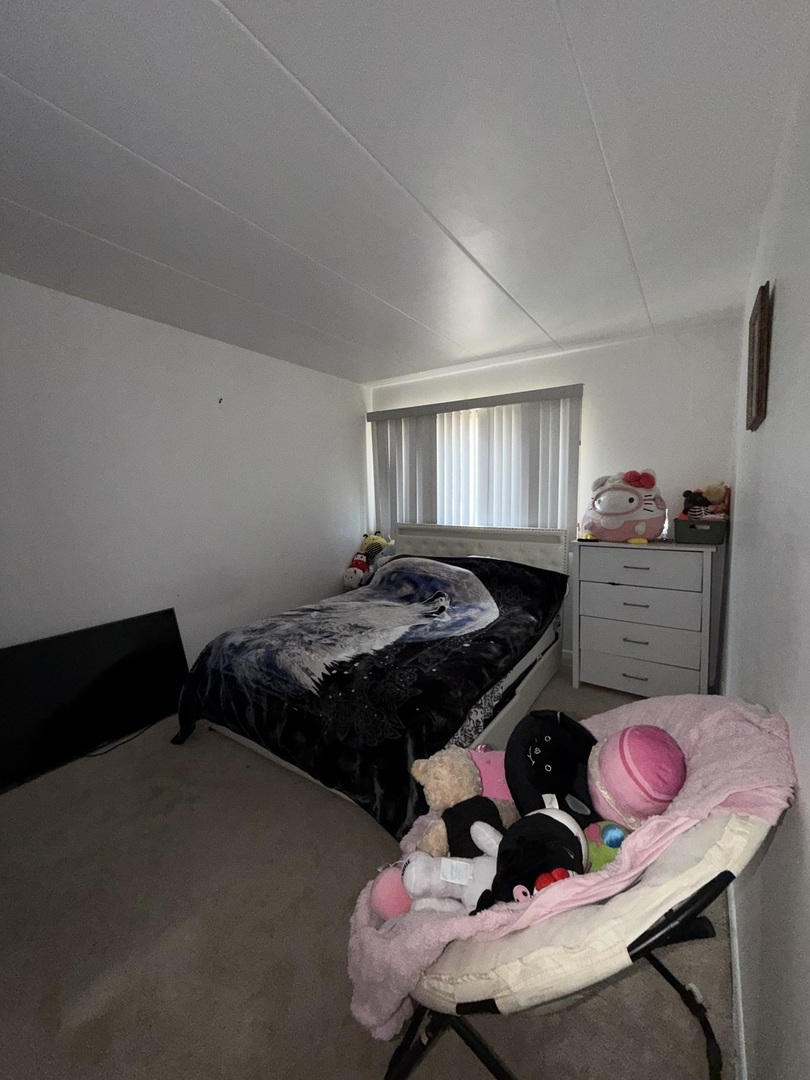 10002 S Pulaski Road 207 Property Photo 27