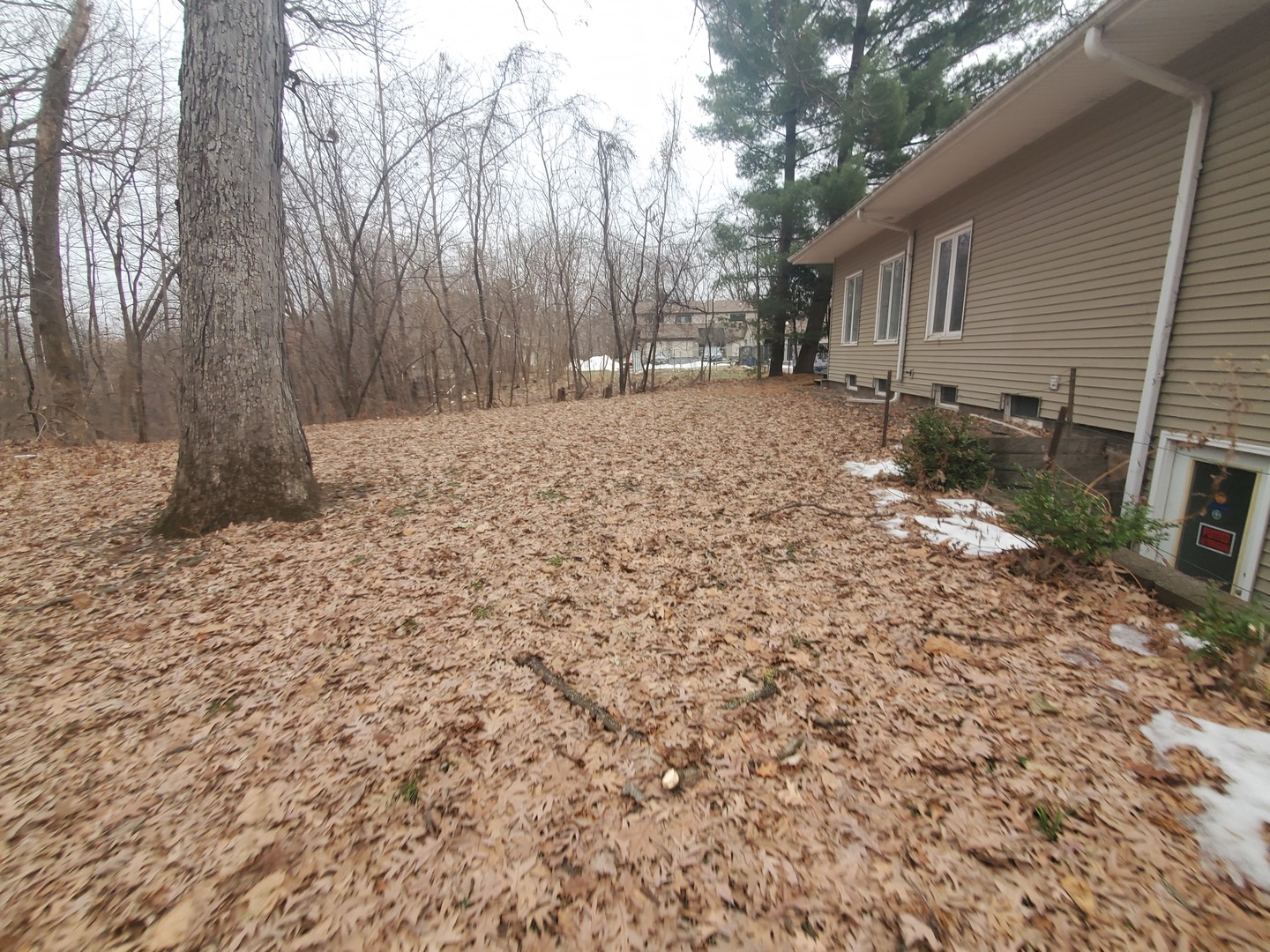 2801 12th Avenue Property Photo 3