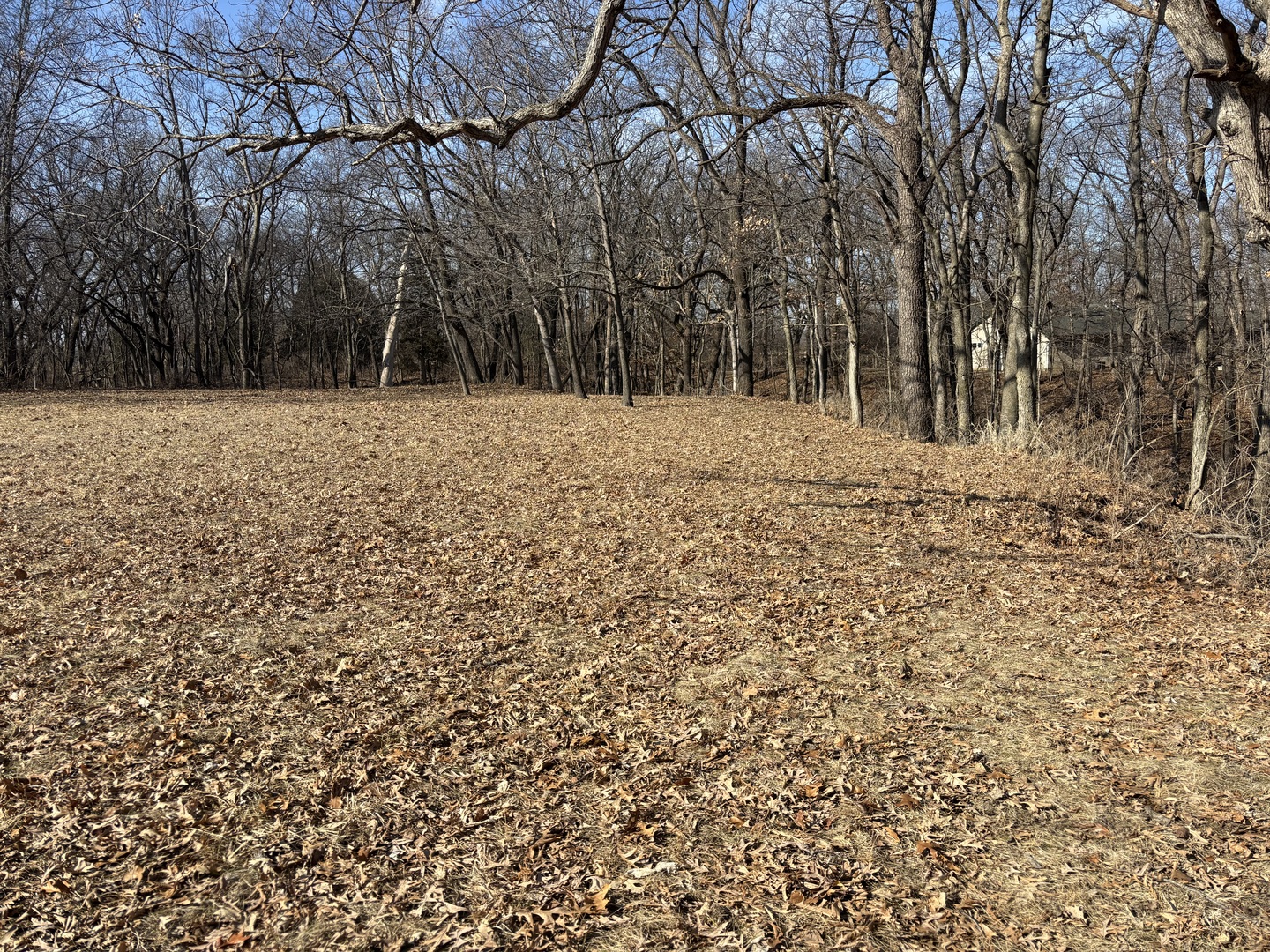 595 Cardinal Drive Property Photo 1