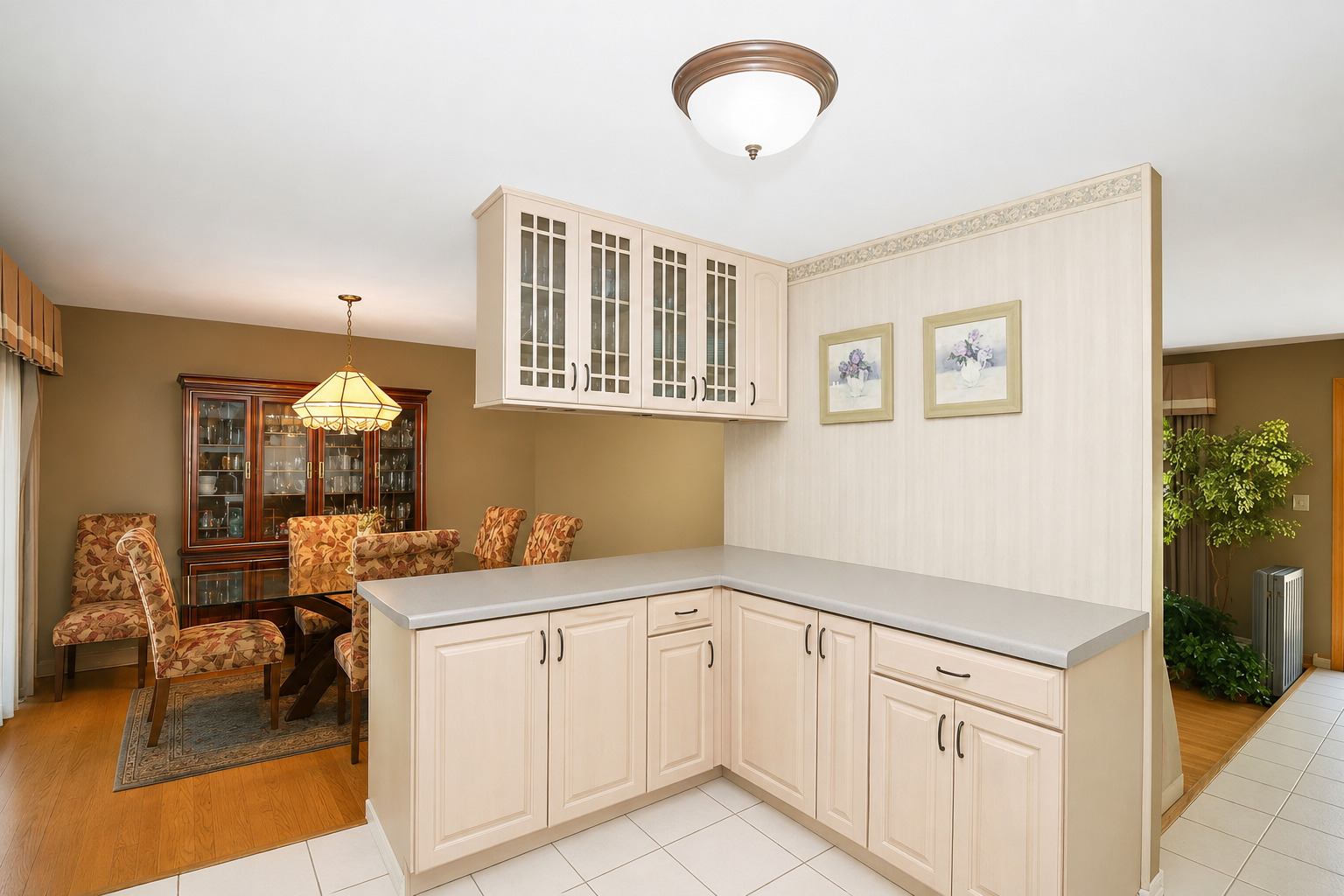 917 W Army Trail Boulevard Property Photo 4