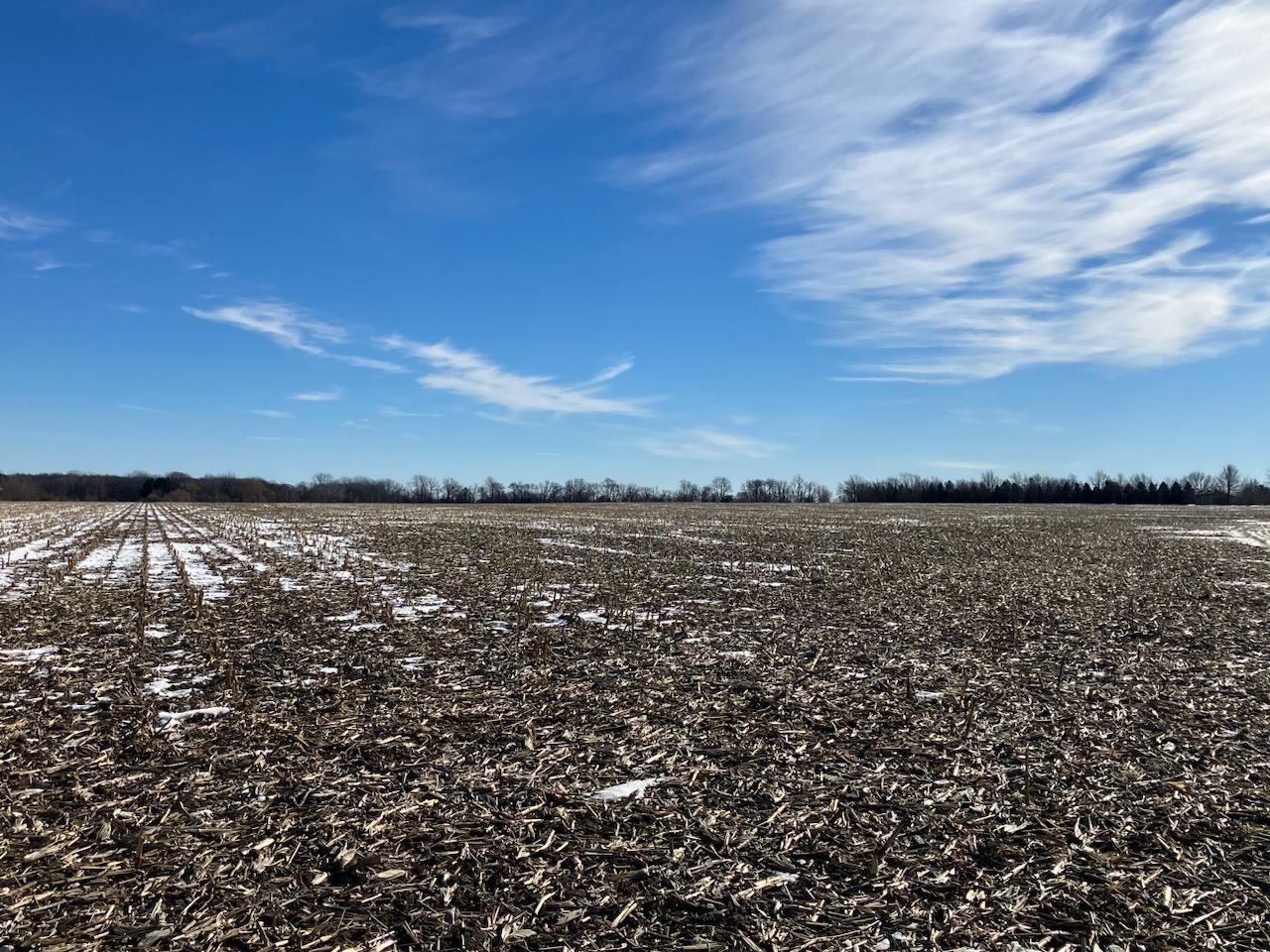 000 Grade School Road Property Photo 6