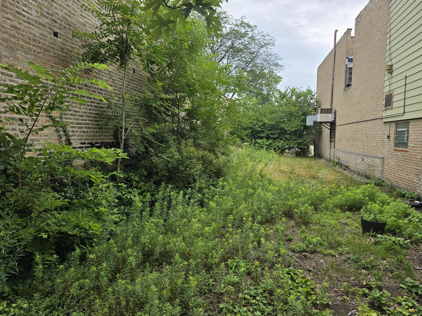 5638 N Western Avenue Property Photo 13