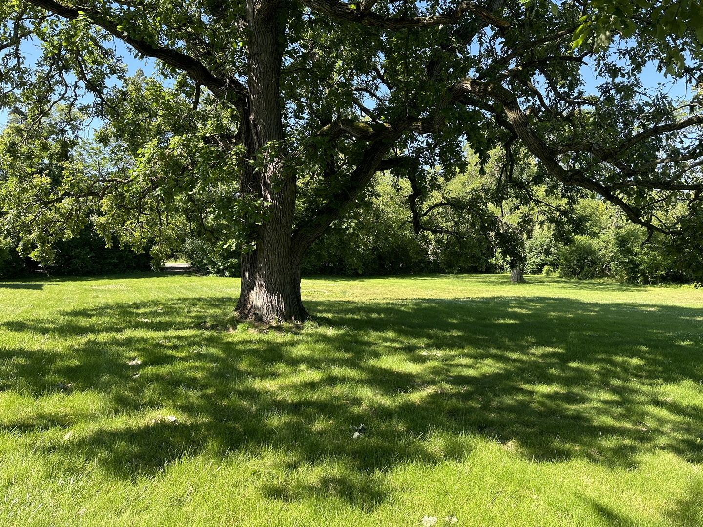 2033 Winnetka Road Property Photo 3