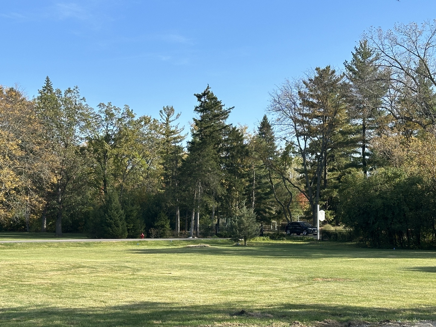 118 Dickens Road Property Photo 1