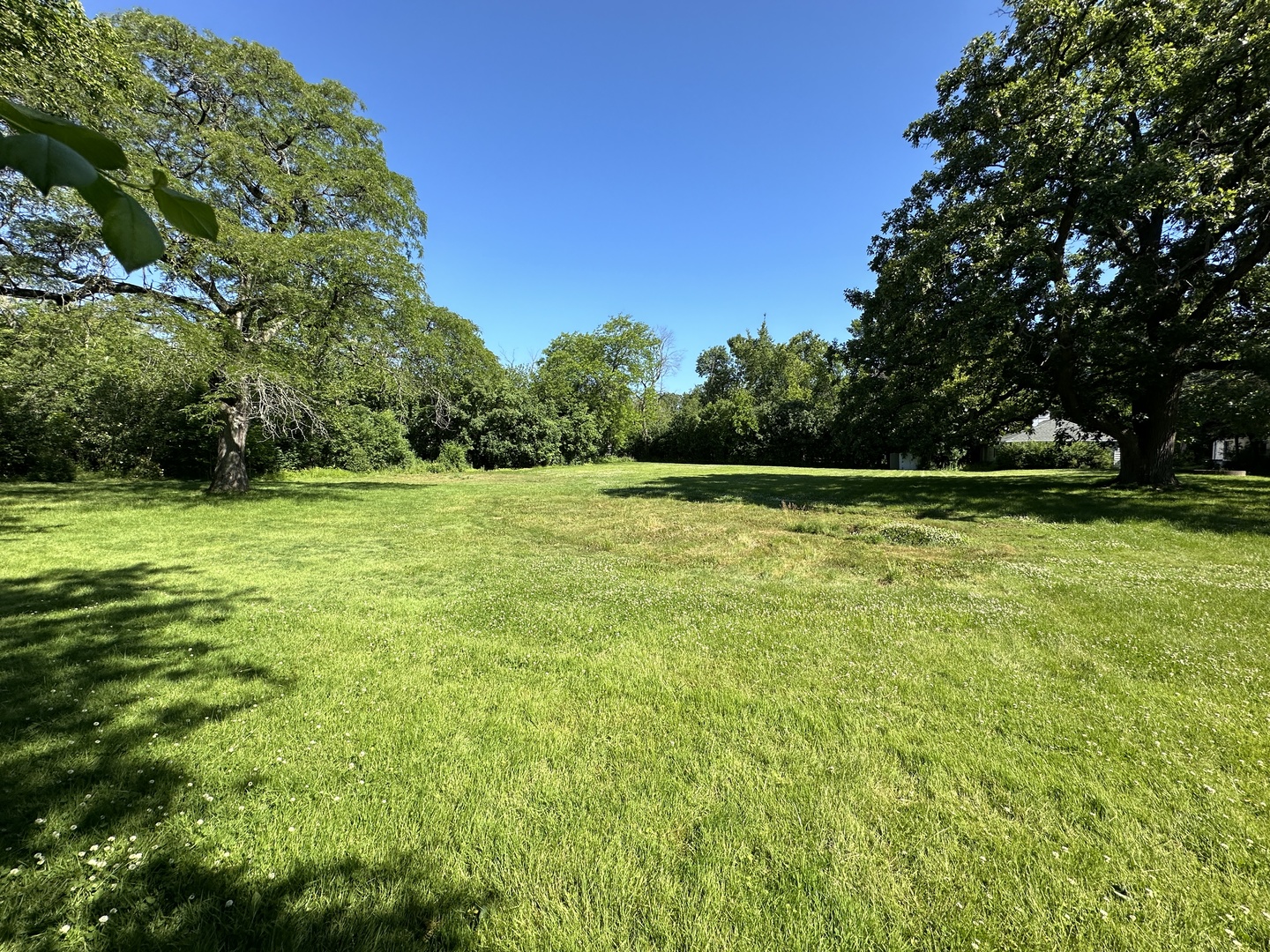 118 Dickens Road Property Photo 2