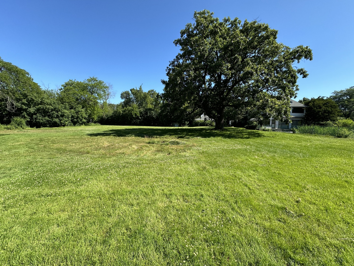 118 Dickens Road Property Photo 3