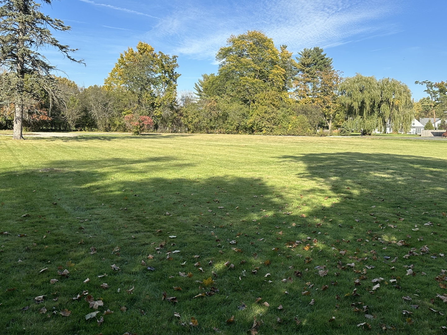 118 Dickens Road Property Photo 4