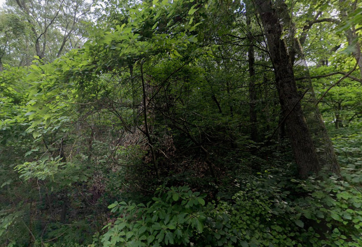 0 Pleasant Avenue Property Photo 3