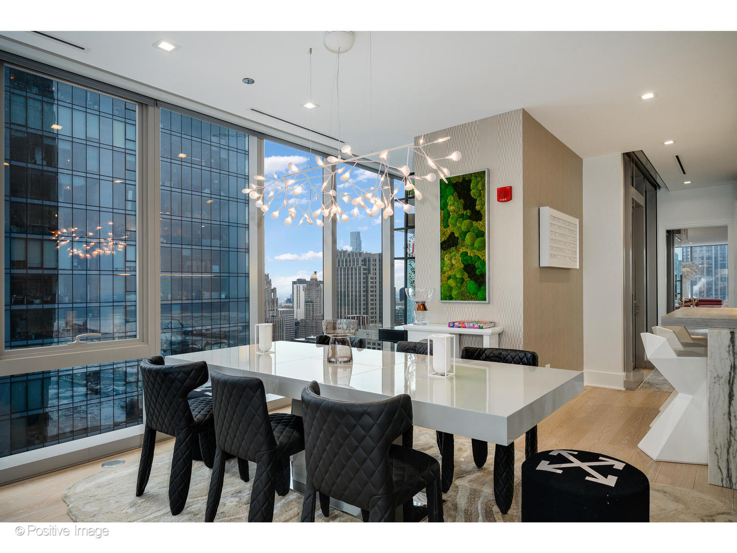 363 E Wacker Drive 3101 Property Photo 6