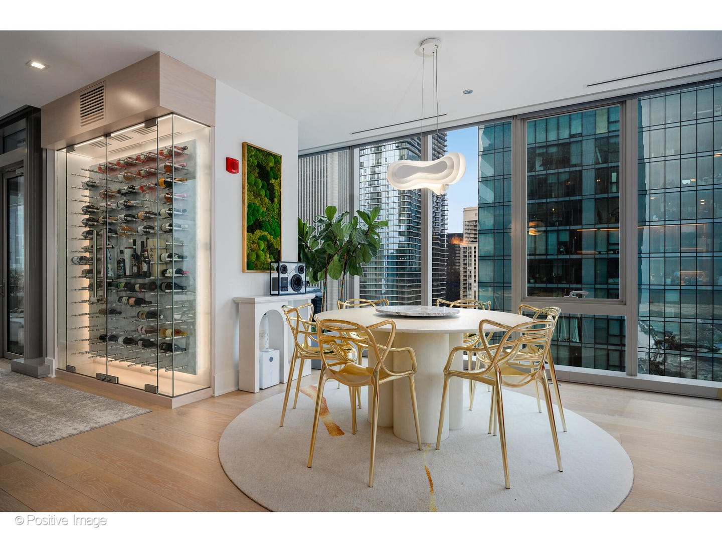 363 E Wacker Drive 3101 Property Photo 20