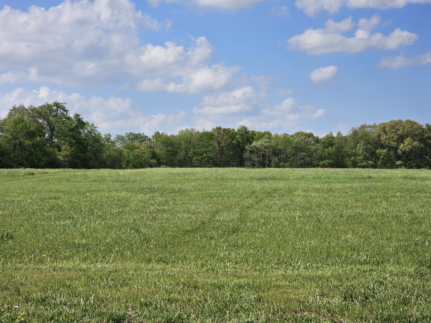 17225 N Akin Black Top Road Property Photo 1