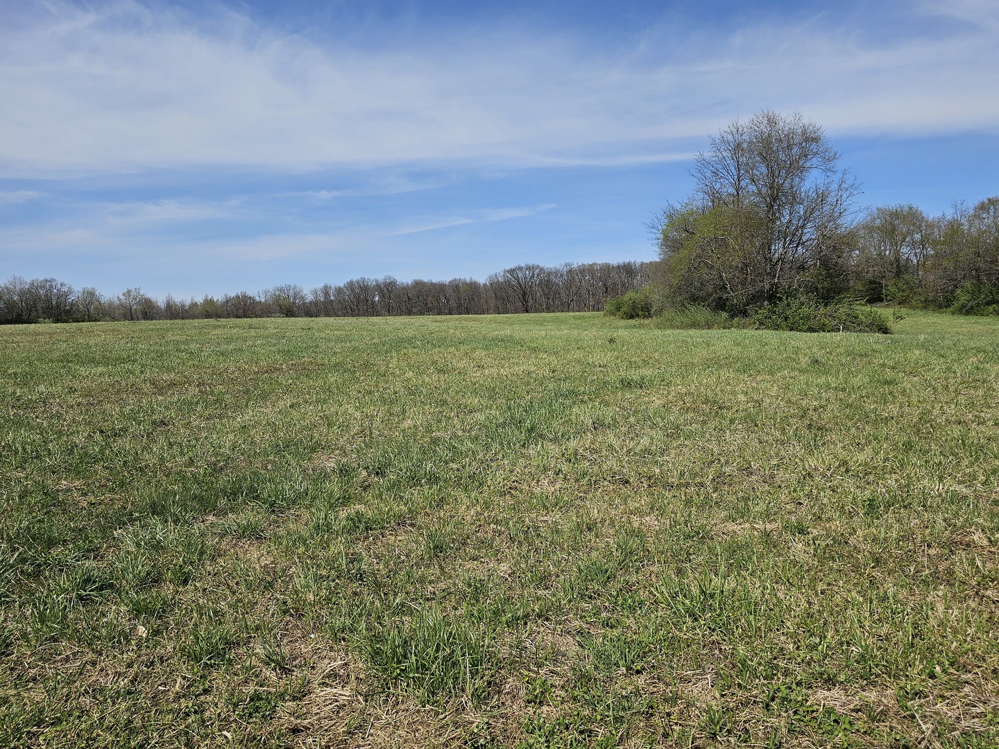 17225 N Akin Black Top Road Property Photo 2