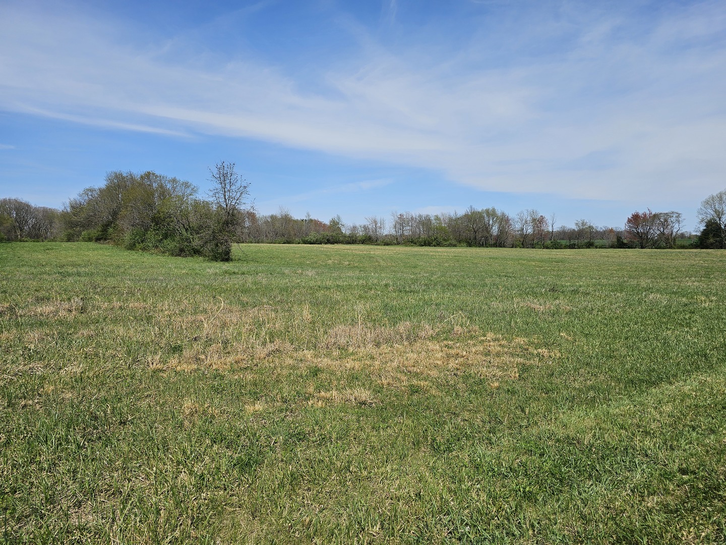 17225 N Akin Black Top Road Property Photo 3