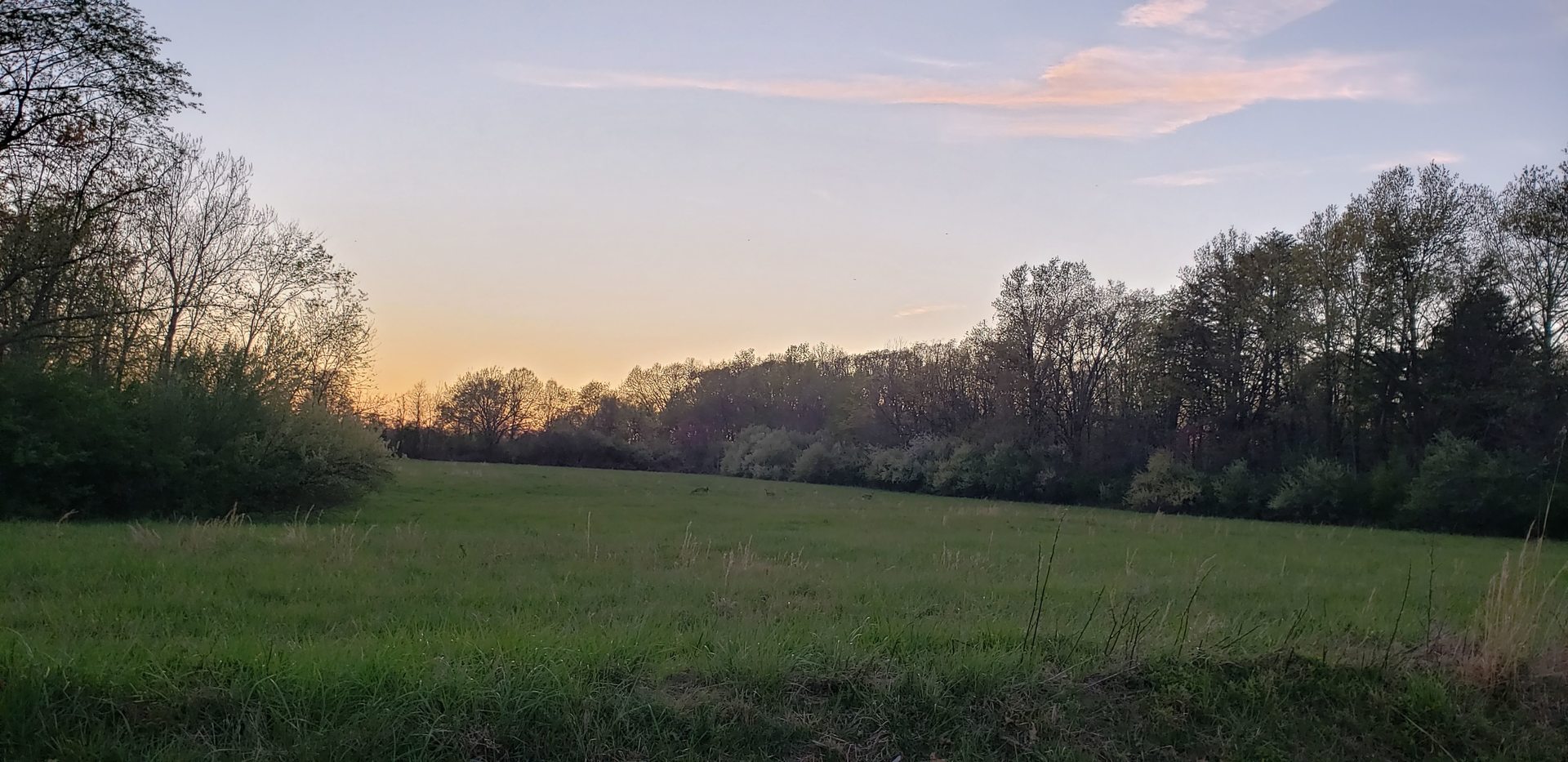 17225 N Akin Black Top Road Property Photo 4