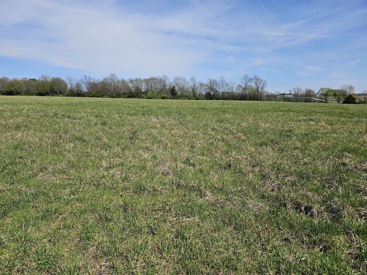 17225 N Akin Black Top Road Property Photo 5