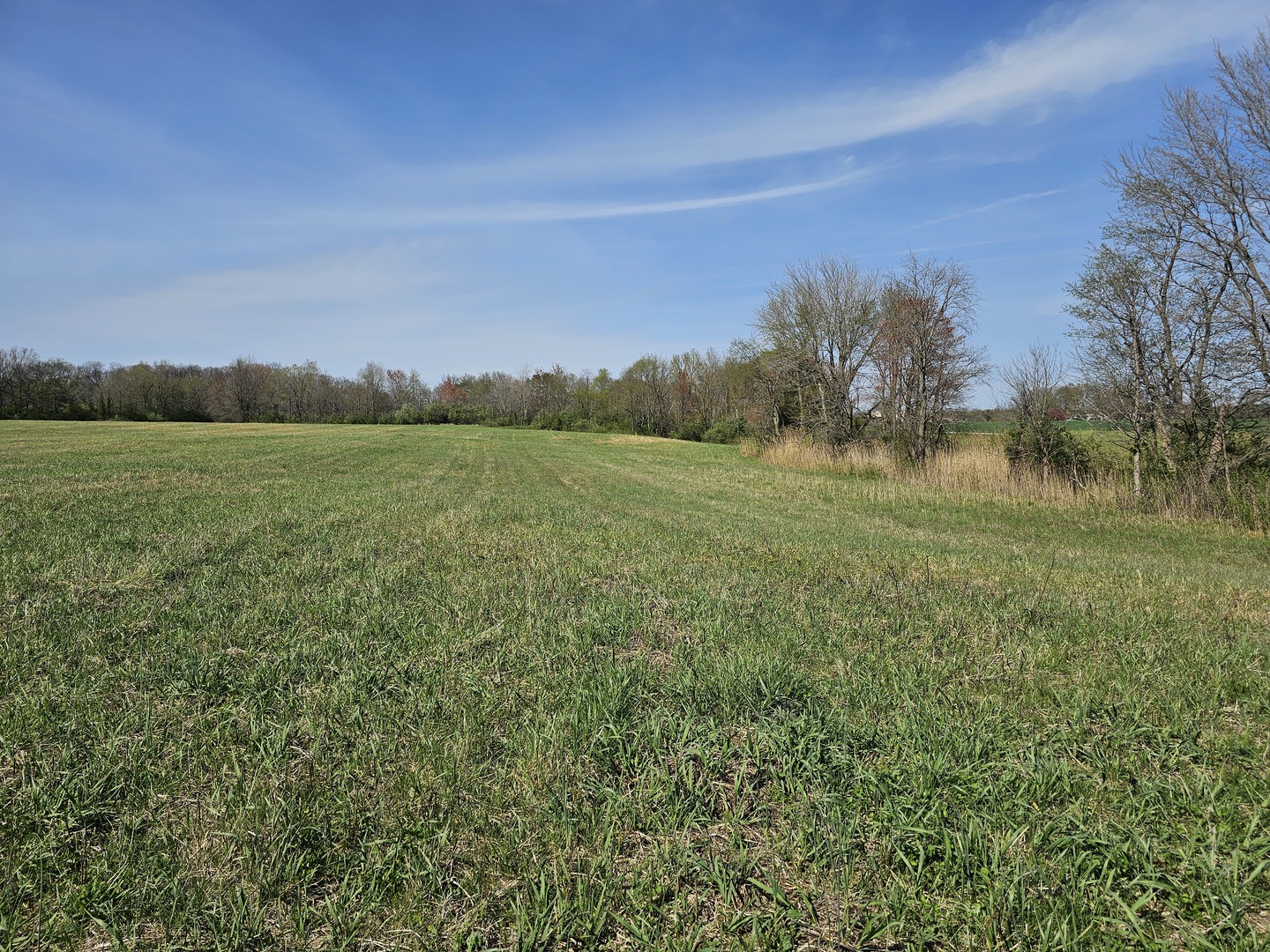 17225 N Akin Black Top Road Property Photo 6