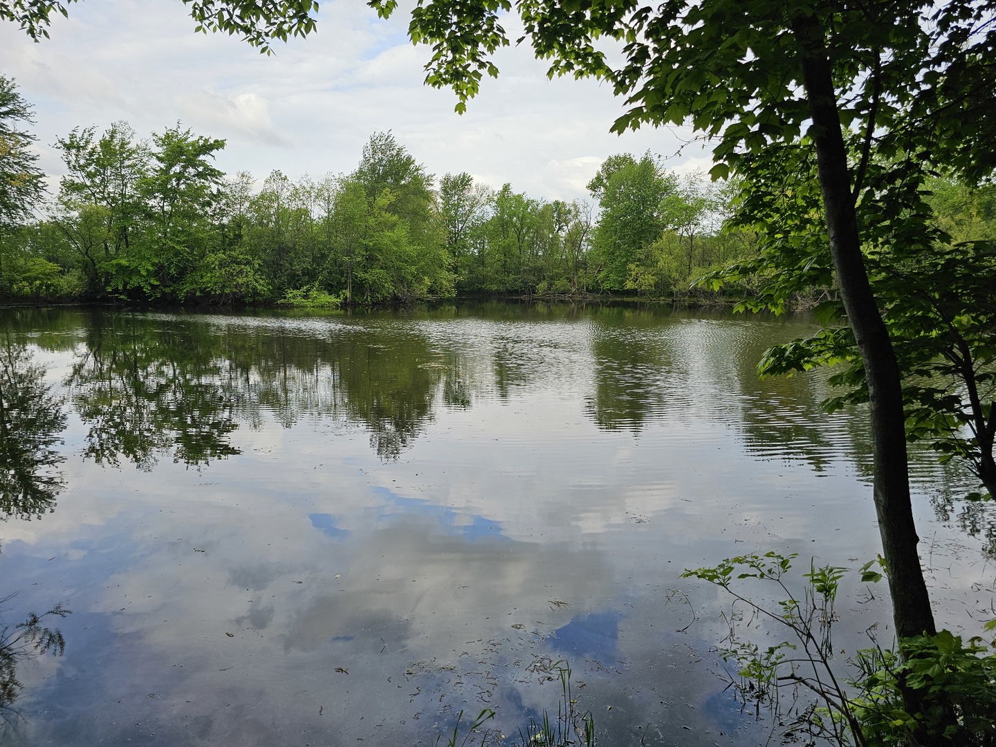 17225 N Akin Black Top Road Property Photo 7