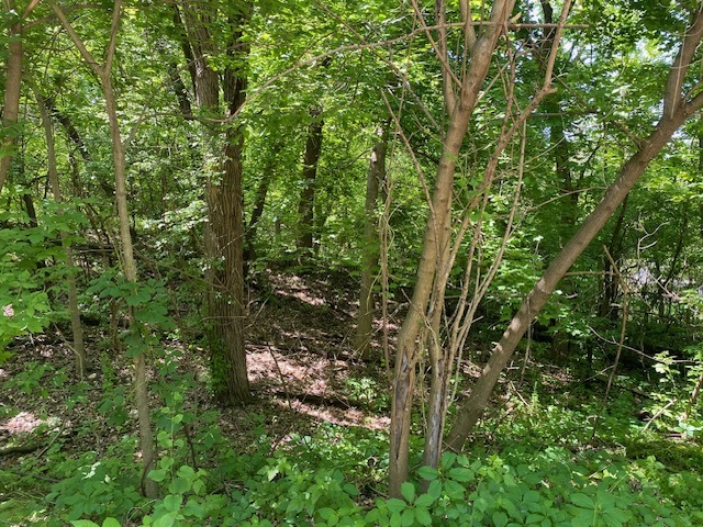 Lots 11 & 12 Ravine Drive Property Photo 3