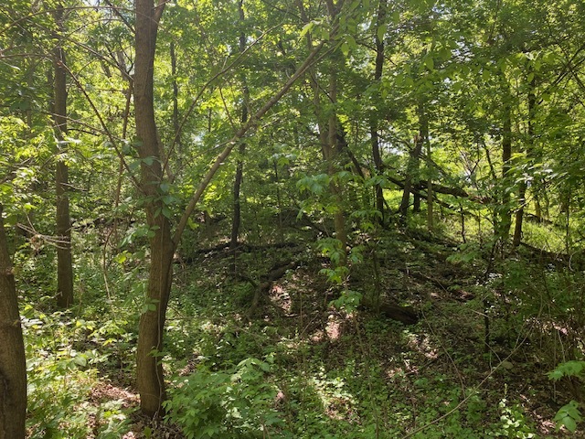 Lots 8 & 9 Ravine Drive Property Photo 2