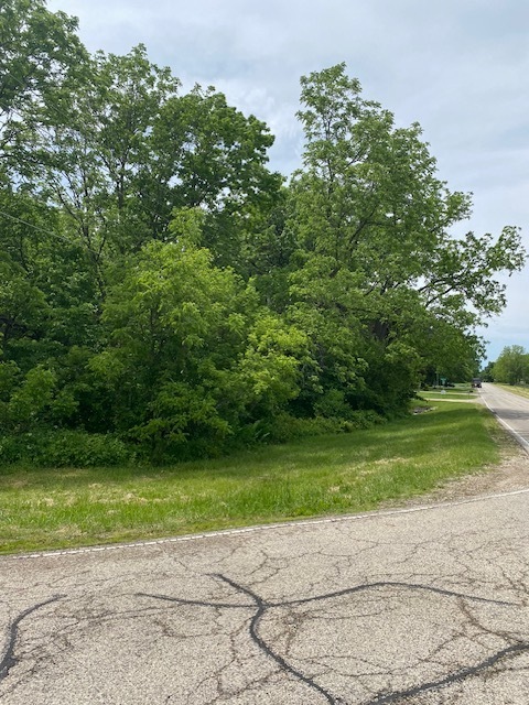 Lot 60 & 61 Beverly Way Property Photo 2