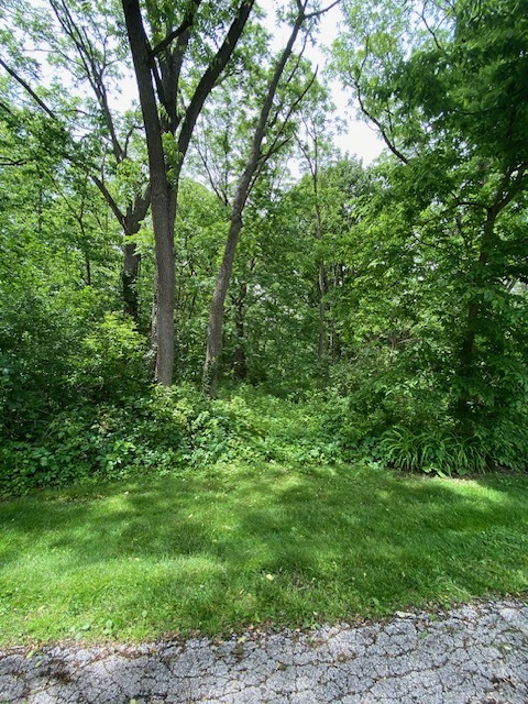 Lot 60 & 61 Beverly Way Property Photo 4