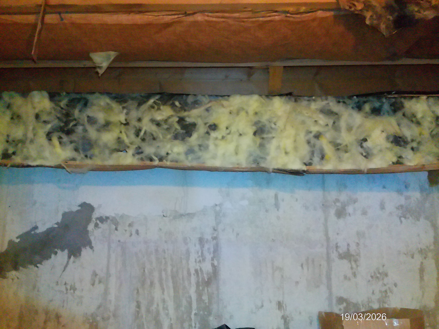 1709 S Highland Avenue Property Photo 21