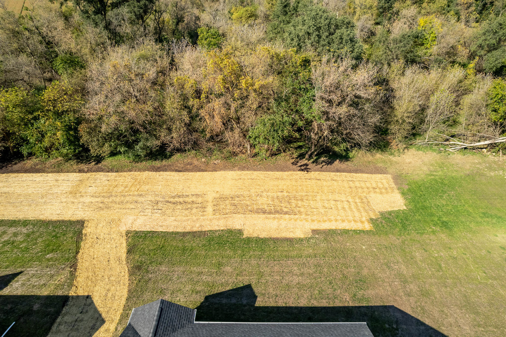 14180 Prairie Commons Lane Property Photo 3
