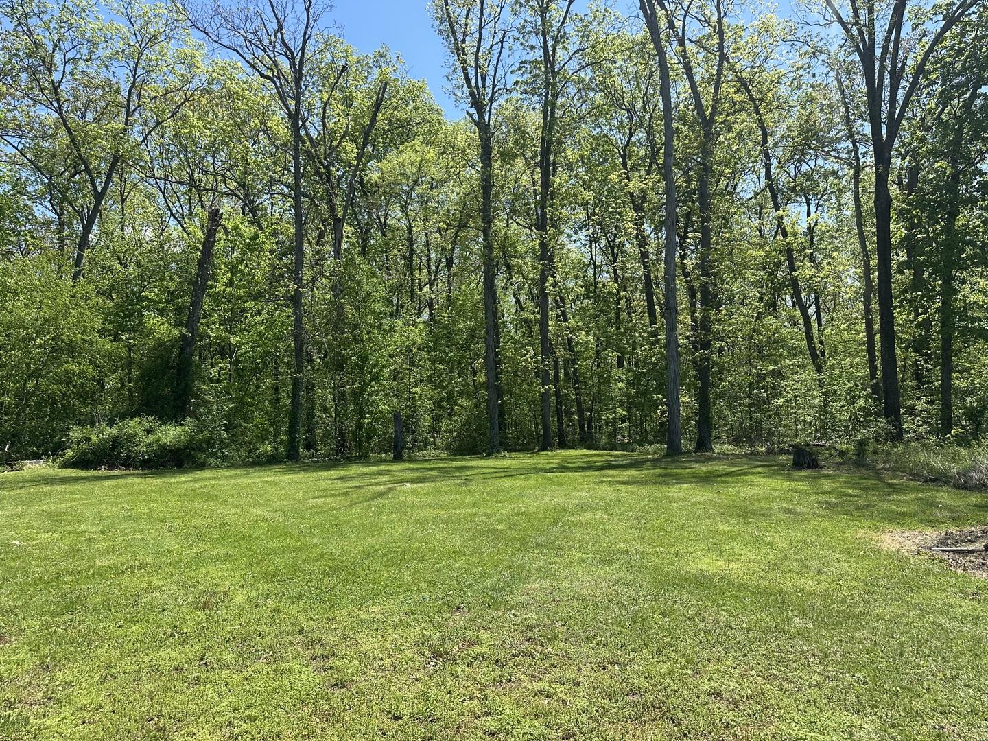 2506 State Highway 154 Property Photo 9
