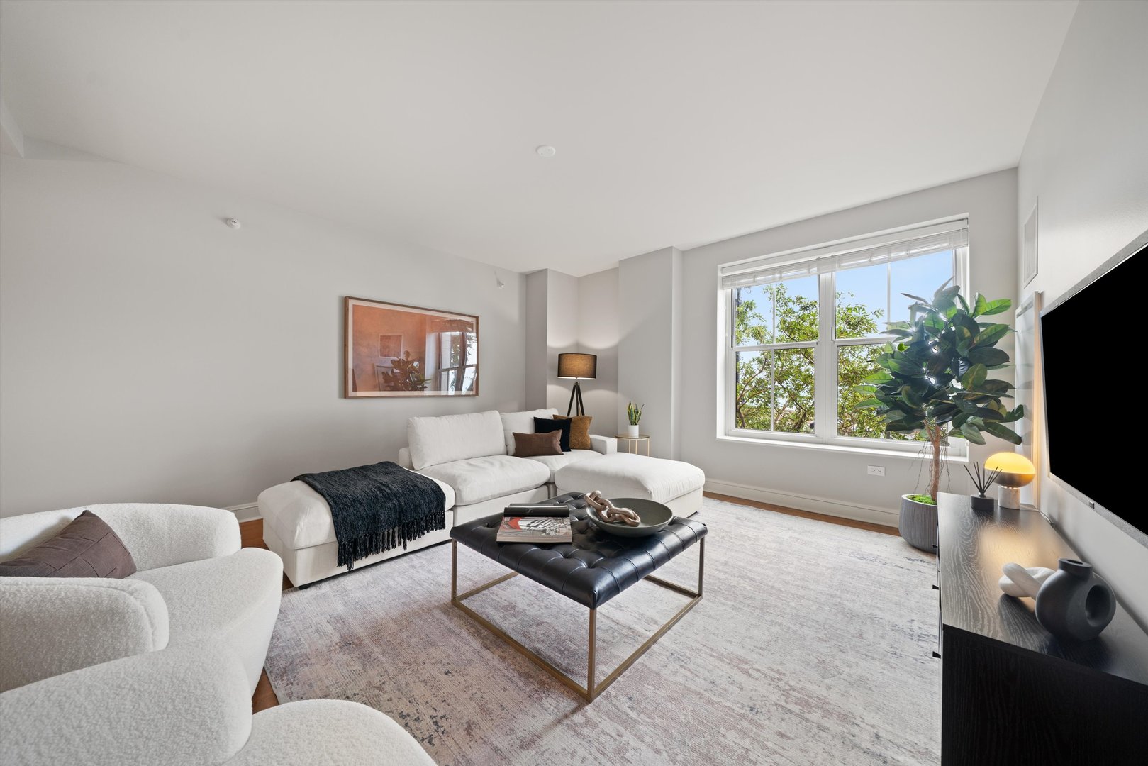 850 N Lake Shore Drive 204 Property Photo 16