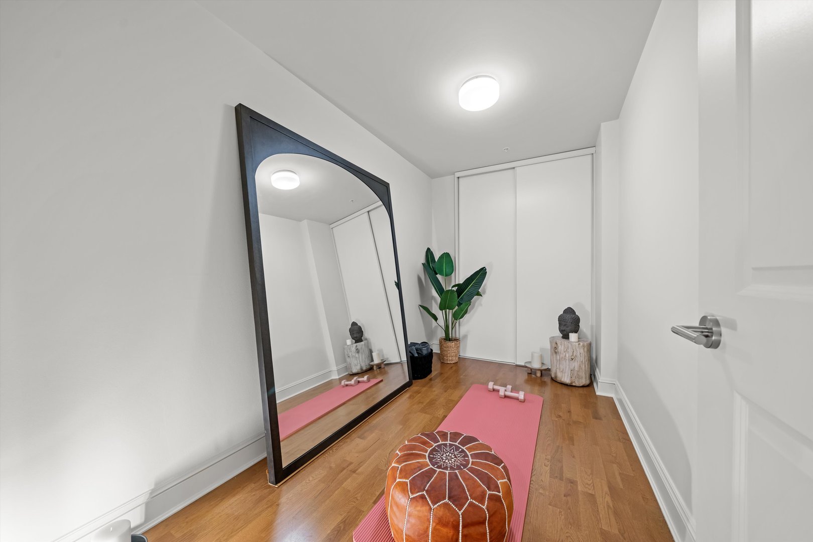 850 N Lake Shore Drive 204 Property Photo 21