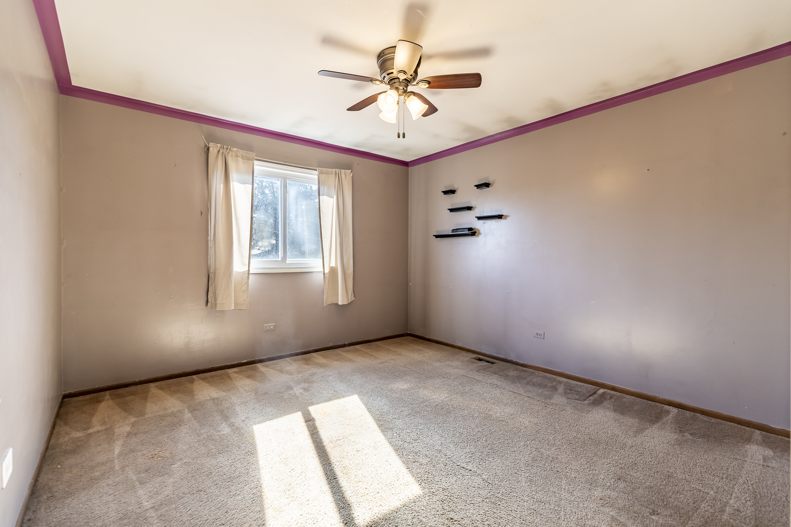 1101 Lucas Street Property Photo 13
