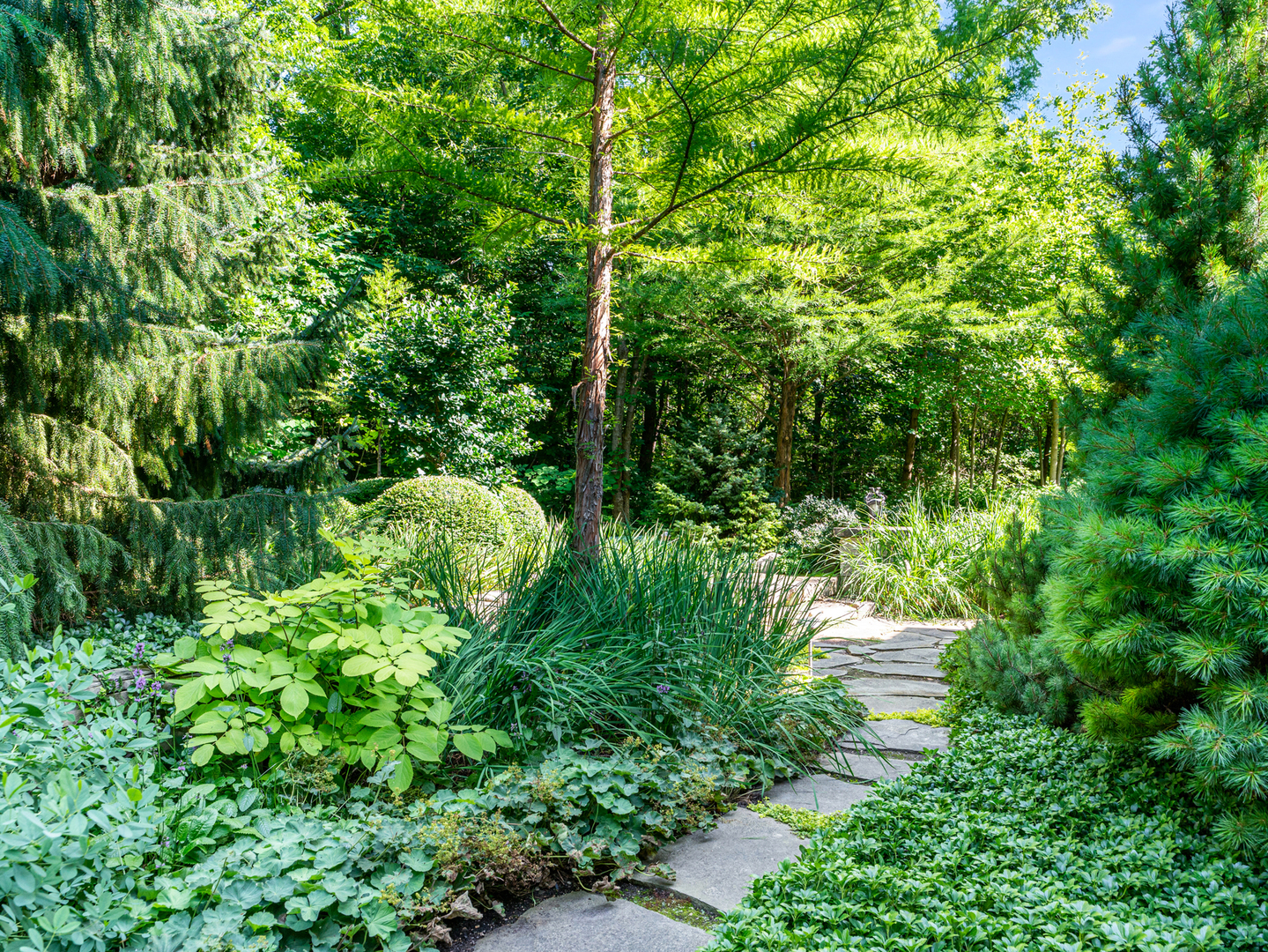 1317 Fox Glen Drive Property Photo 59