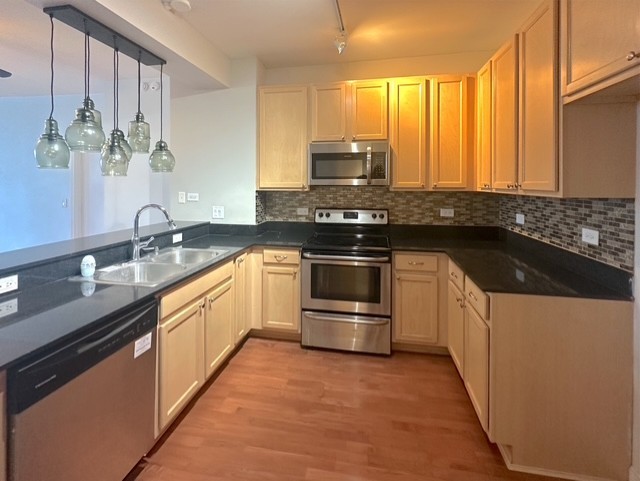 1841 S Calumet Avenue 706 Property Photo 3