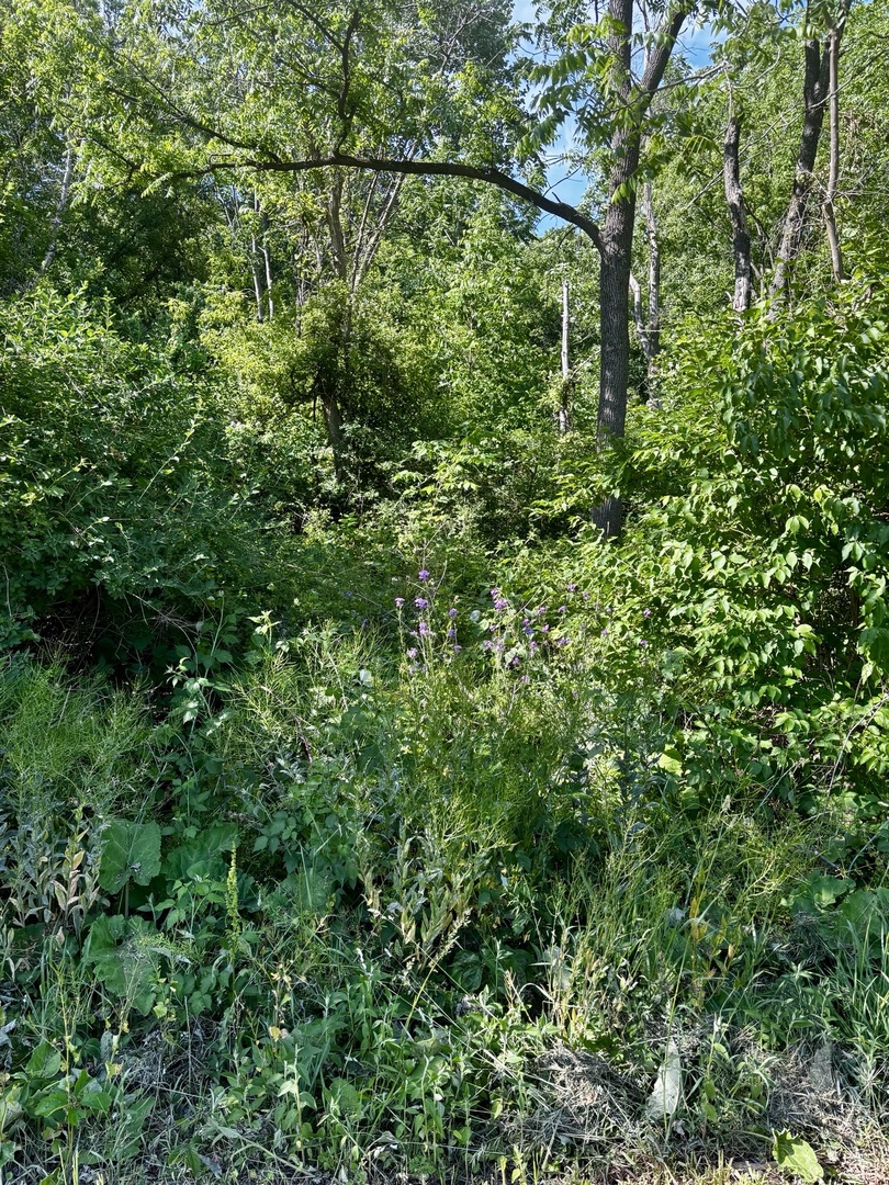 21177 N Valley Road Property Photo 1