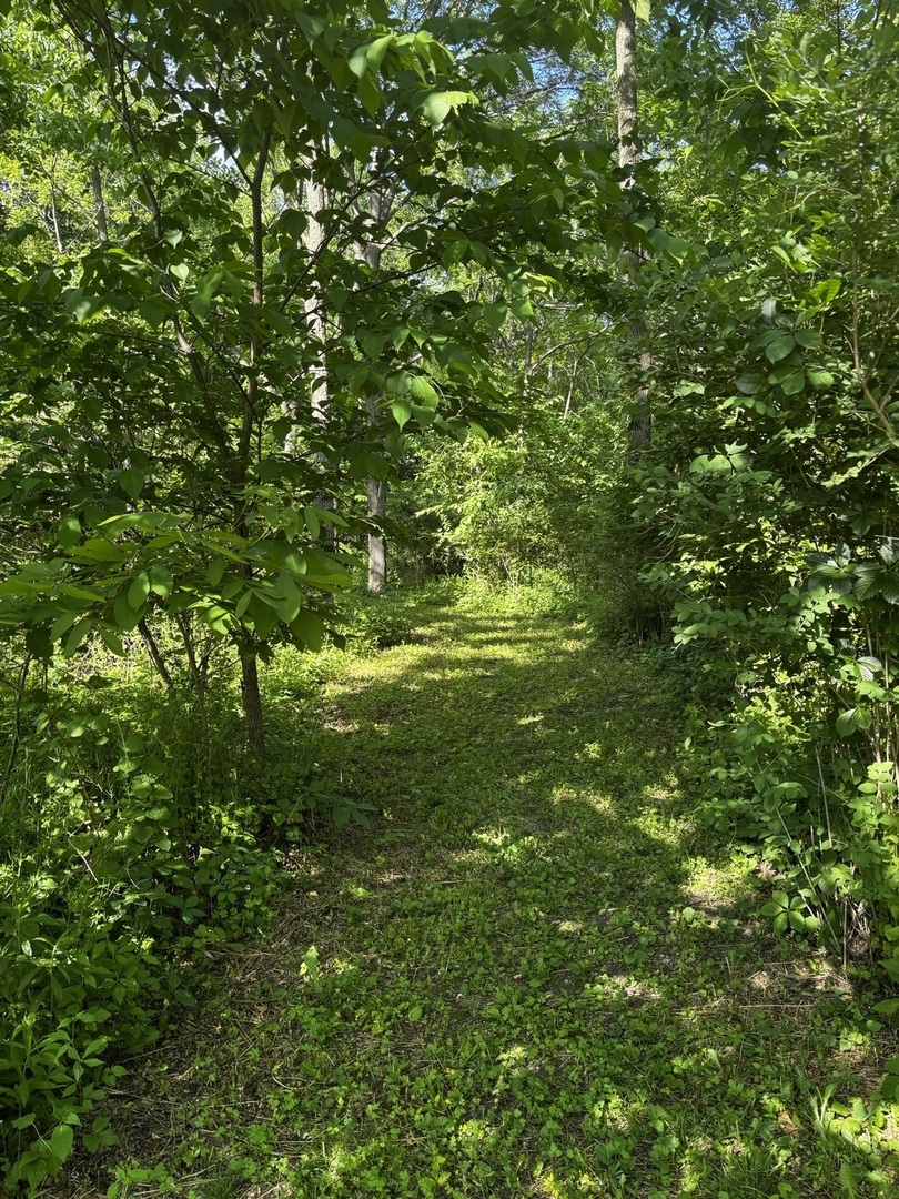 21177 N Valley Road Property Photo 2