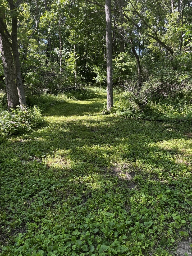 21177 N Valley Road Property Photo 3