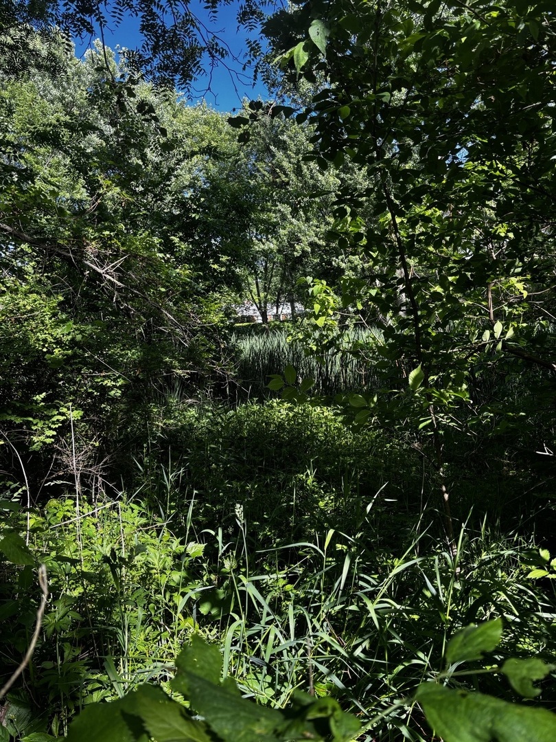 21177 N Valley Road Property Photo 4