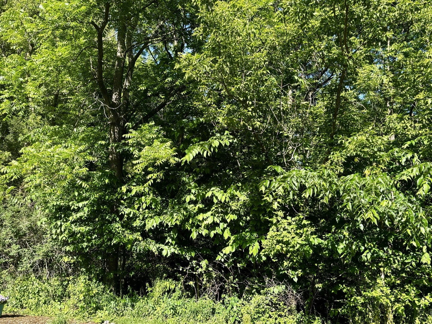 21177 N Valley Road Property Photo 5