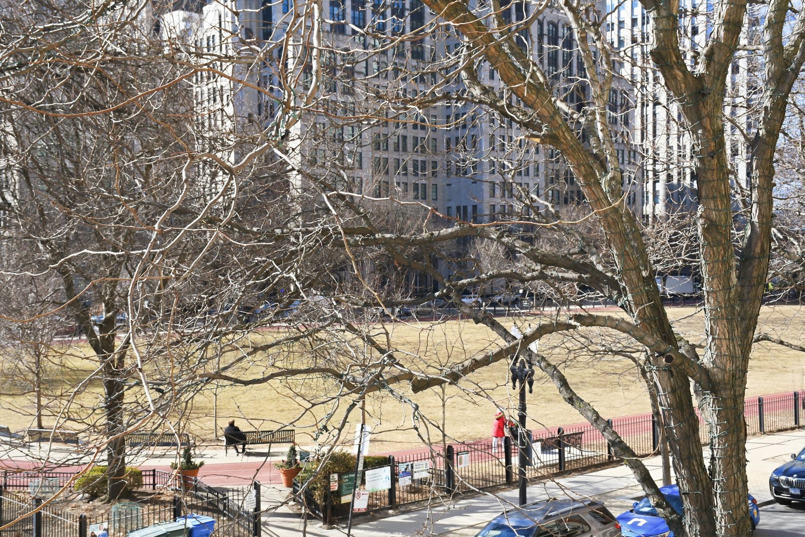 840 N Lake Shore Drive 201 Property Photo 25
