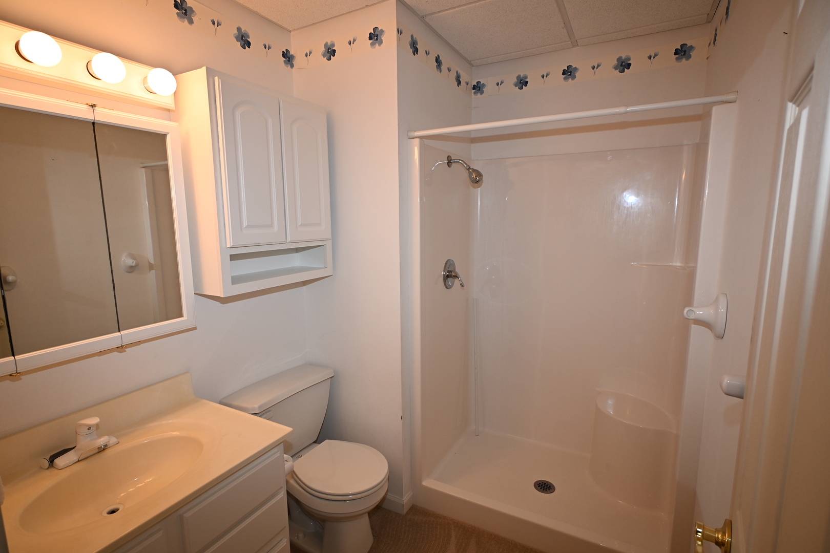 1308 W Carol Drive Property Photo 45