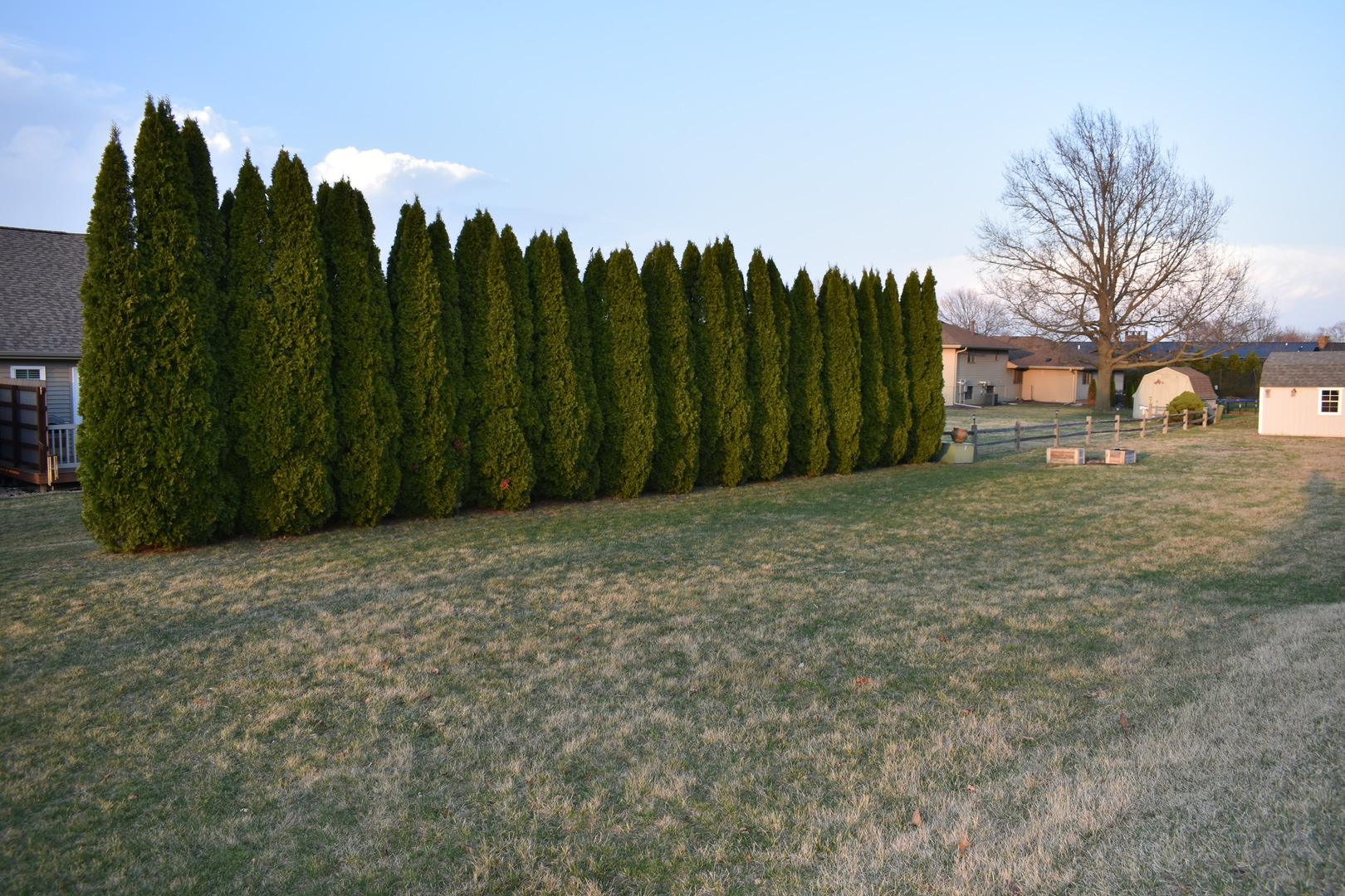 1308 W Carol Drive Property Photo 47