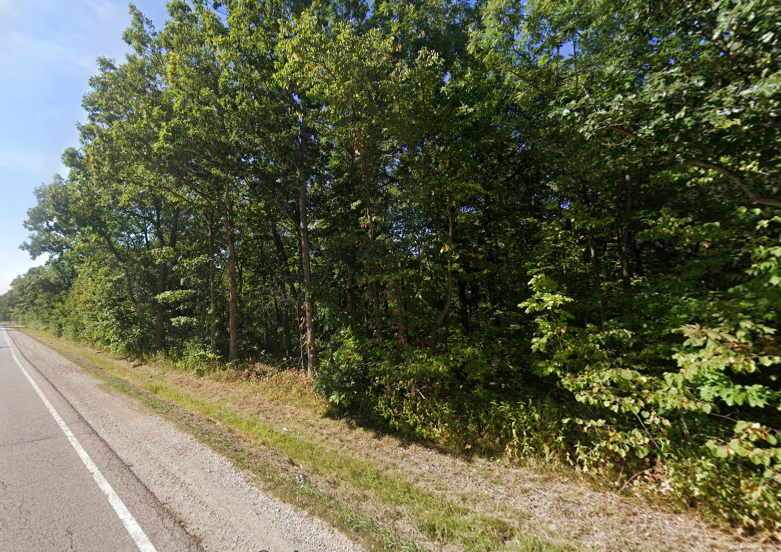 0 Deerfield Road Property Photo 1