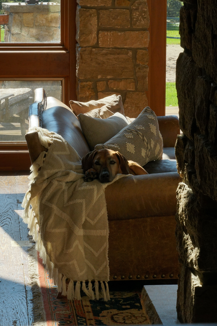 12582304 Property Photo 12