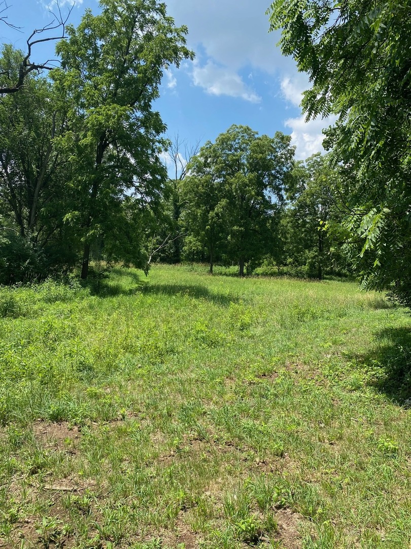 12582472 Property Photo 1