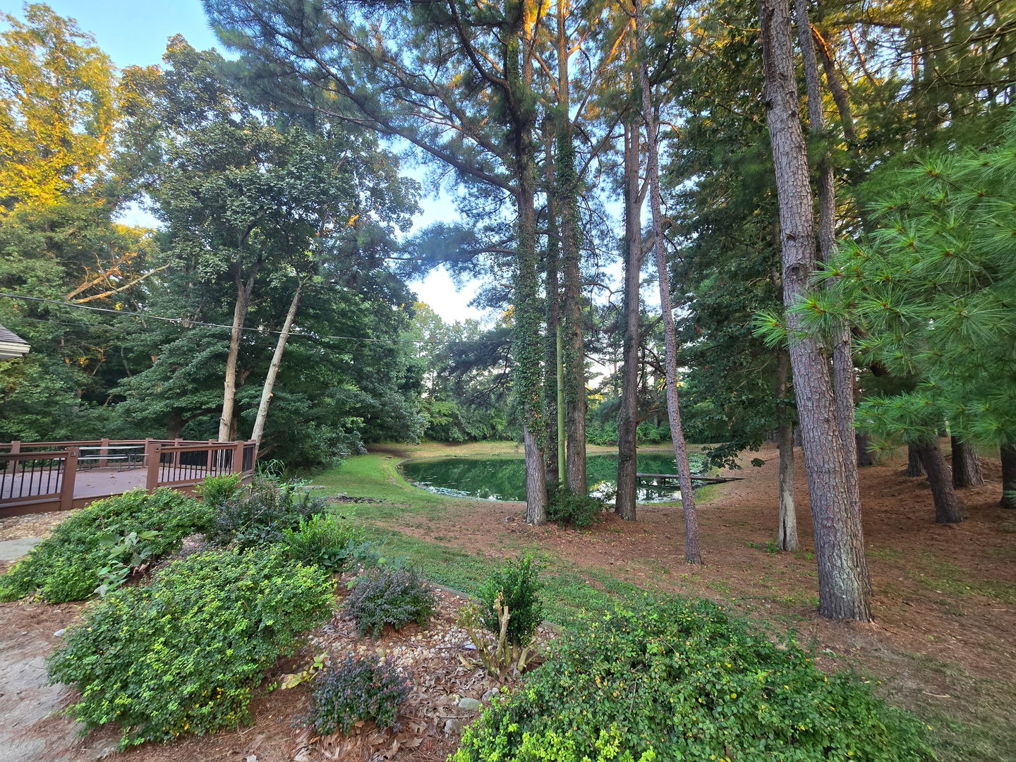 16578 N Oak Hill Lane Property Photo 6