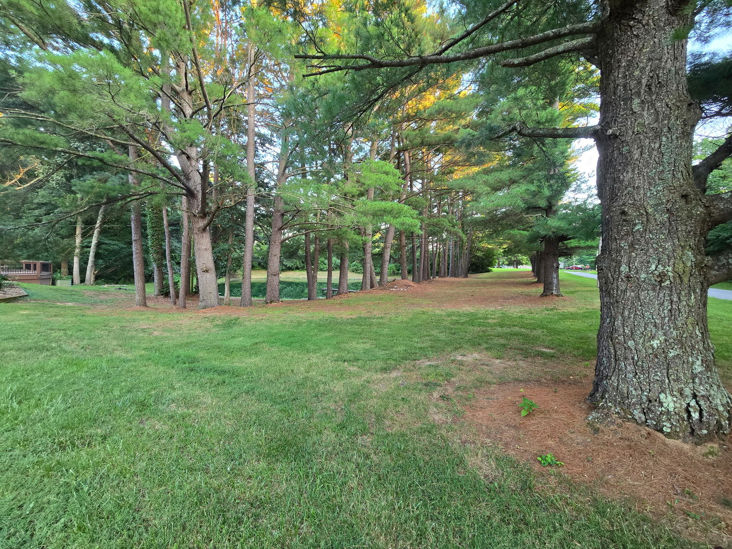16578 N Oak Hill Lane Property Photo 7