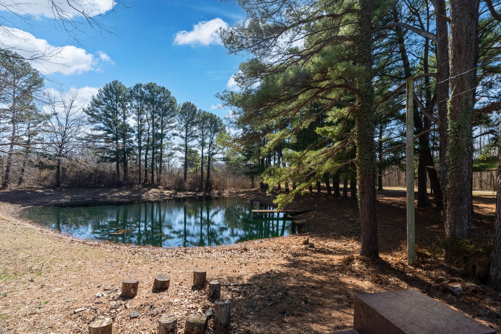 16578 N Oak Hill Lane Property Photo 48